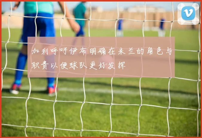 加利呼吁伊布明确在米兰的角色与职责以便球队更好发挥