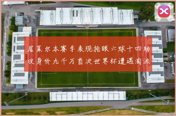 居莱尔本赛季表现抢眼六球十四助攻身价九千万首次世界杯遭遇淘汰
